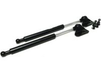 Honda Rear Hatch Glass Strut Kit - NSX, 1991-05