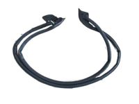 Honda Lower Door Weatherstrip - NSX, 1991-05